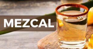Un verre de Mezcal