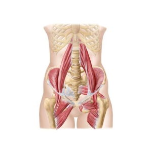 syndrome du muscle ilio-psoas